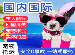 湘西边城机场货运国际宠物托运 【国